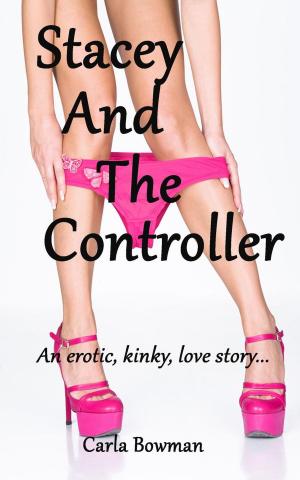 Cover of the book Stacey And The Controller by Richard Johns