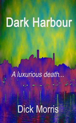bigCover of the book Dark Harbour by 