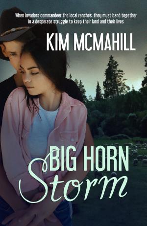 Book cover of Big Horn Storm