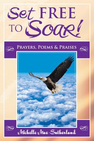 Cover of the book Set Free to Soar by Terry Swan