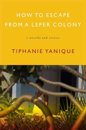Cover of the book How to Escape from a Leper Colony by Marie Mutsuki Mockett