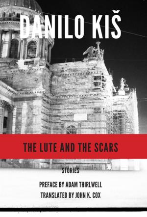 Cover of the book The Lute and the Scars by Elisabeth Horem