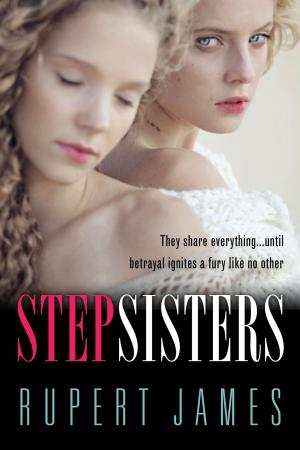Cover of the book Stepsisters by Daphne Gottlieb