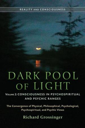 Cover of the book Dark Pool of Light, Volume Two by Stephen Jenkinson