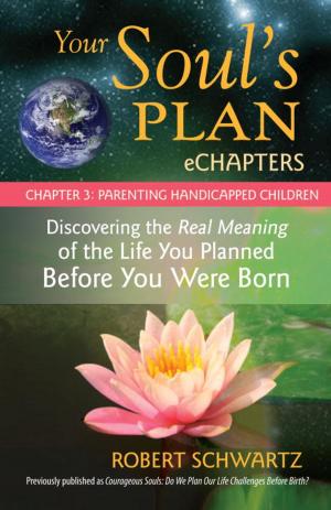 Book cover of Your Soul's Plan eChapters - Chapter 3: Parenting Handicapped Children