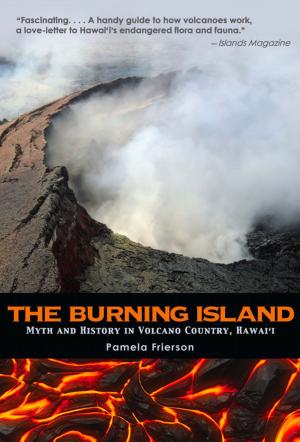 Cover of the book The Burning Island by Mark Menjivar