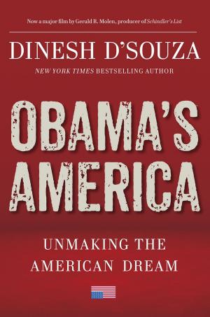 Book cover of Obama's America