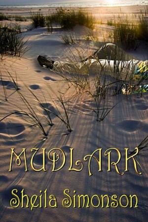 Book cover of Mudlark
