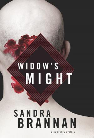 Cover of the book Widow's Might: A Liv Bergen Mystery by Loren Weisman