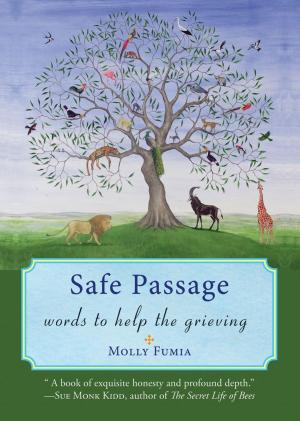 Cover of the book Safe Passage by Cathy Cassani Adams