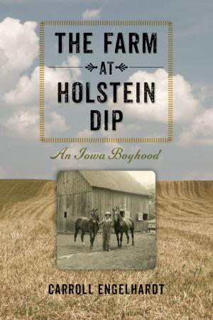 Cover of the book The Farm at Holstein Dip by Elizabeth Searle