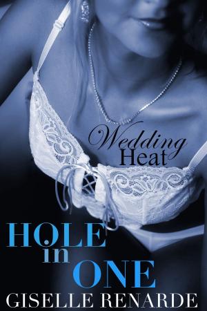 Cover of the book Wedding Heat: Hole In One (MMM) by D.B. Story