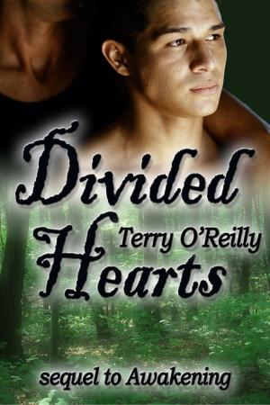 Cover of the book Divided Hearts by W.S. Long