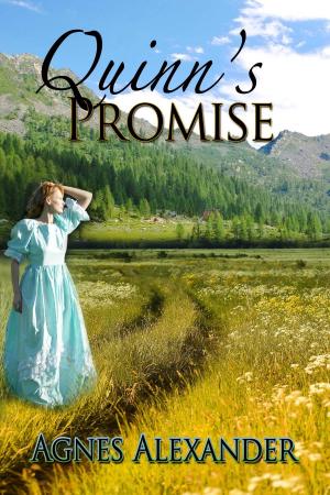 Cover of the book Quinn's Promise by Diana Palmer