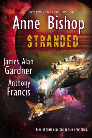 Cover of the book Stranded by Steven Robert Morrison