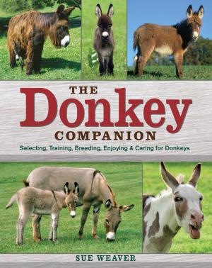 Cover of the book The Donkey Companion by Tim Herd