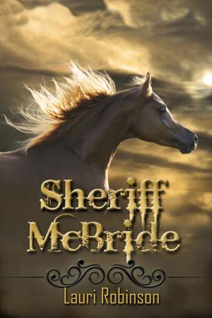 Cover of the book Sheriff McBride by R. A. Boyd