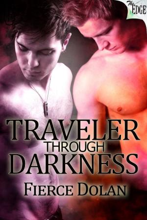 Cover of the book Traveler Through Darkness by Taryn Kincaid