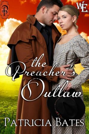 Book cover of The Preacher's Outlaw