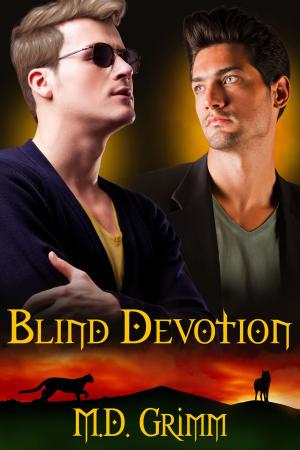Cover of the book Blind Devotion by Elyse Springer