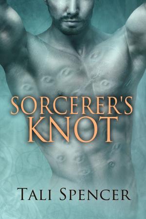 Cover of the book Sorcerer's Knot by Amy Lane