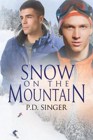 Cover of the book Snow on the Mountain by TJ Klune