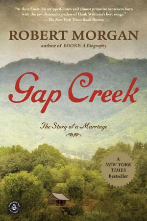 Cover of the book Gap Creek by B. A. Shapiro
