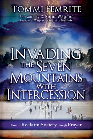 Book cover of Invading the Seven Mountains With Intercession