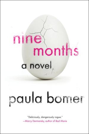Cover of the book Nine Months by Hannah Lillith Assadi