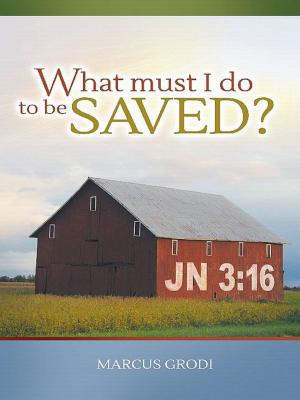 Book cover of What Must I Do to be Saved?