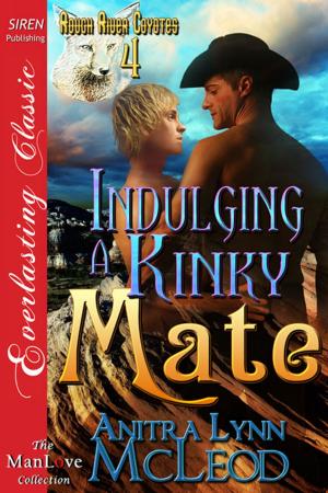 Book cover of Indulging a Kinky Mate