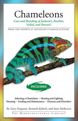 Book cover of Chameleons