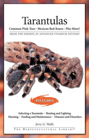 Cover of the book Tarantulas by Cristina Desarnaud