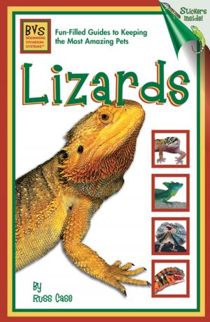Cover of the book Lizards by Alan Bridgewater, Gill Bridgewater