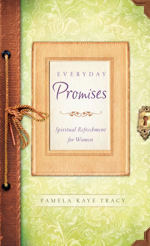 Book cover of Everyday Promises