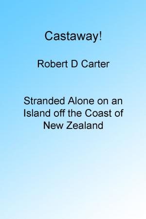 Cover of the book Castaway! by Charles Nordhoff