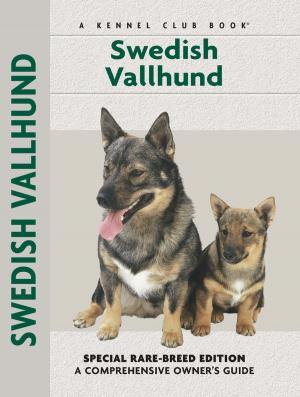 bigCover of the book Swedish Vallhund by 