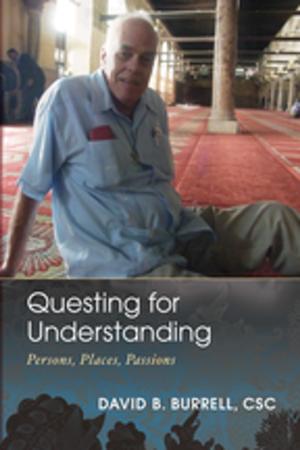Book cover of Questing for Understanding