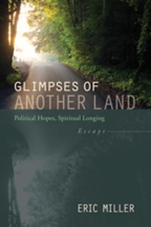 Book cover of Glimpses of Another Land