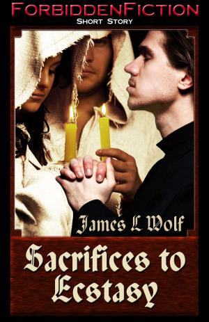 Cover of the book Sacrifices to Ecstasy by Kailin Morgan
