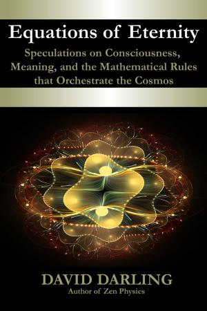 Cover of the book Equations of Eternity by Michael McMenamin