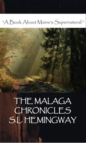 Cover of the book The Malaga Chronicles by Hushidar Hugh Motlagh