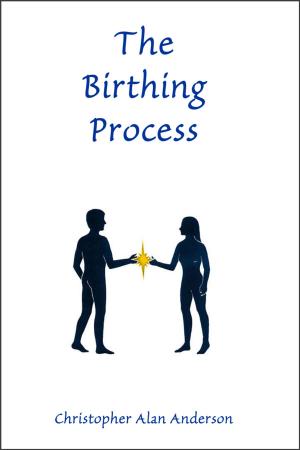 Cover of the book The Birthing Process by Joy Macci, Craig A. Bell