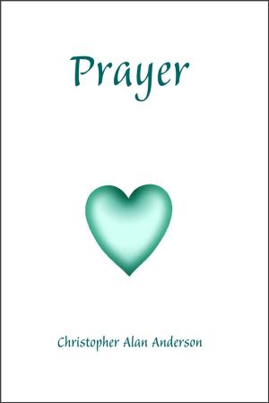 Cover of the book Prayer by David R. Guido