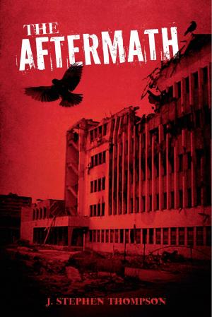 Cover of the book The Aftermath by David J. Hetzel, MD, MBA