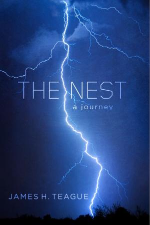 Cover of the book The Nest by Sherry Halperin
