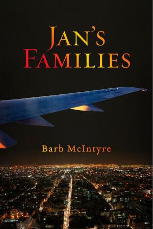 Cover of the book Jan's Families by Michele Armstrong-Venegas