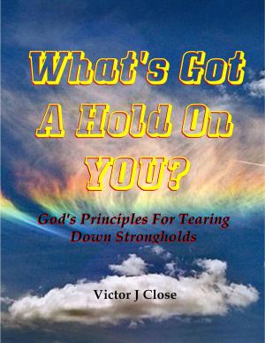 Cover of the book What's Got a Hold On You? by Courtney Ayres