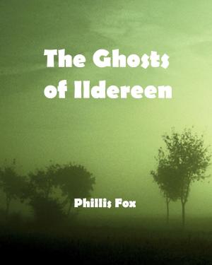 Cover of the book The Ghosts of Ildereen by Pearl  Zhu