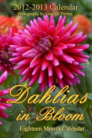 Cover of the book Dahlias In Bloom by Coti Donoso